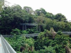 Blk 88 Telok Blangah Heights (Bukit Merah), HDB 4 Rooms #118058102